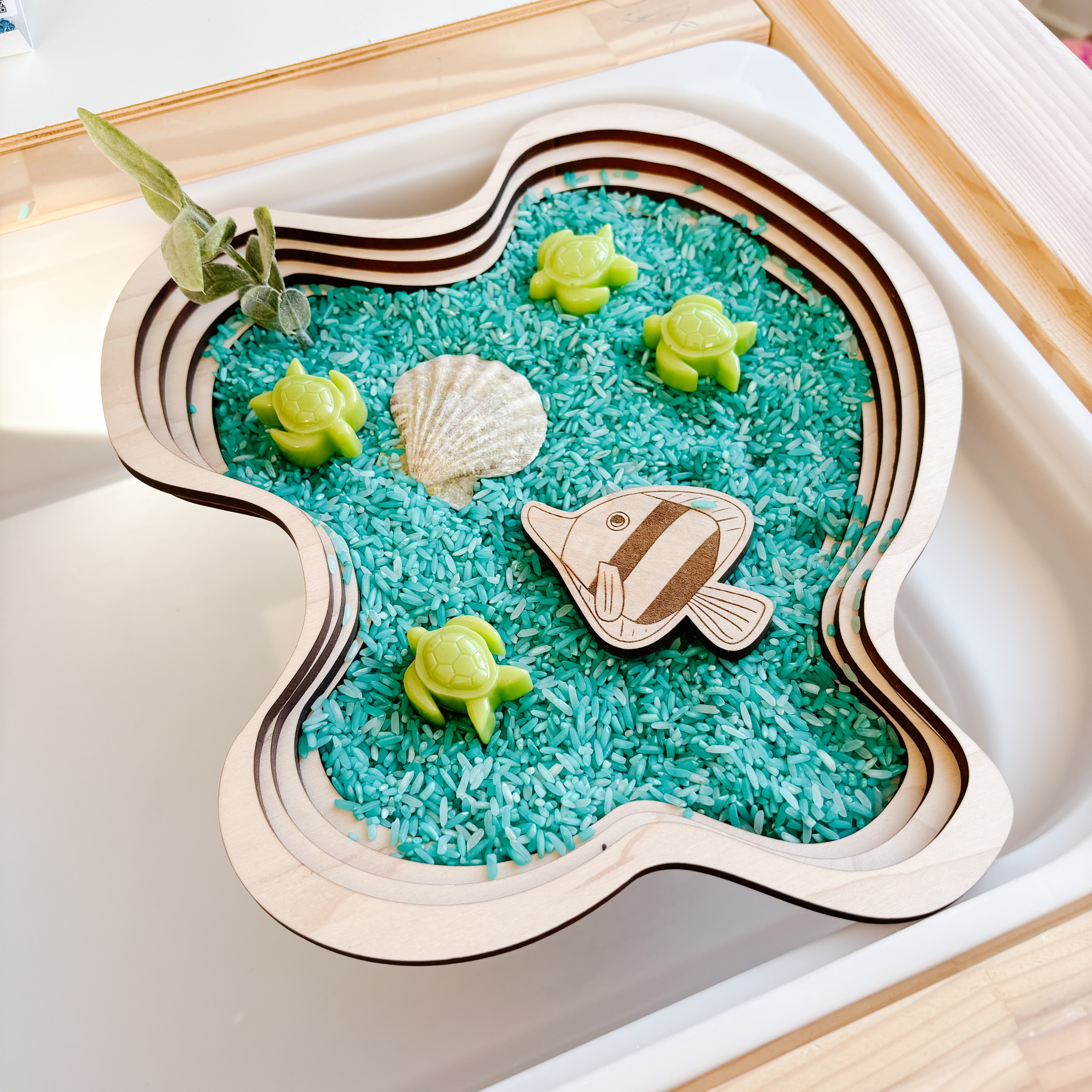 Bathymetric Pond
