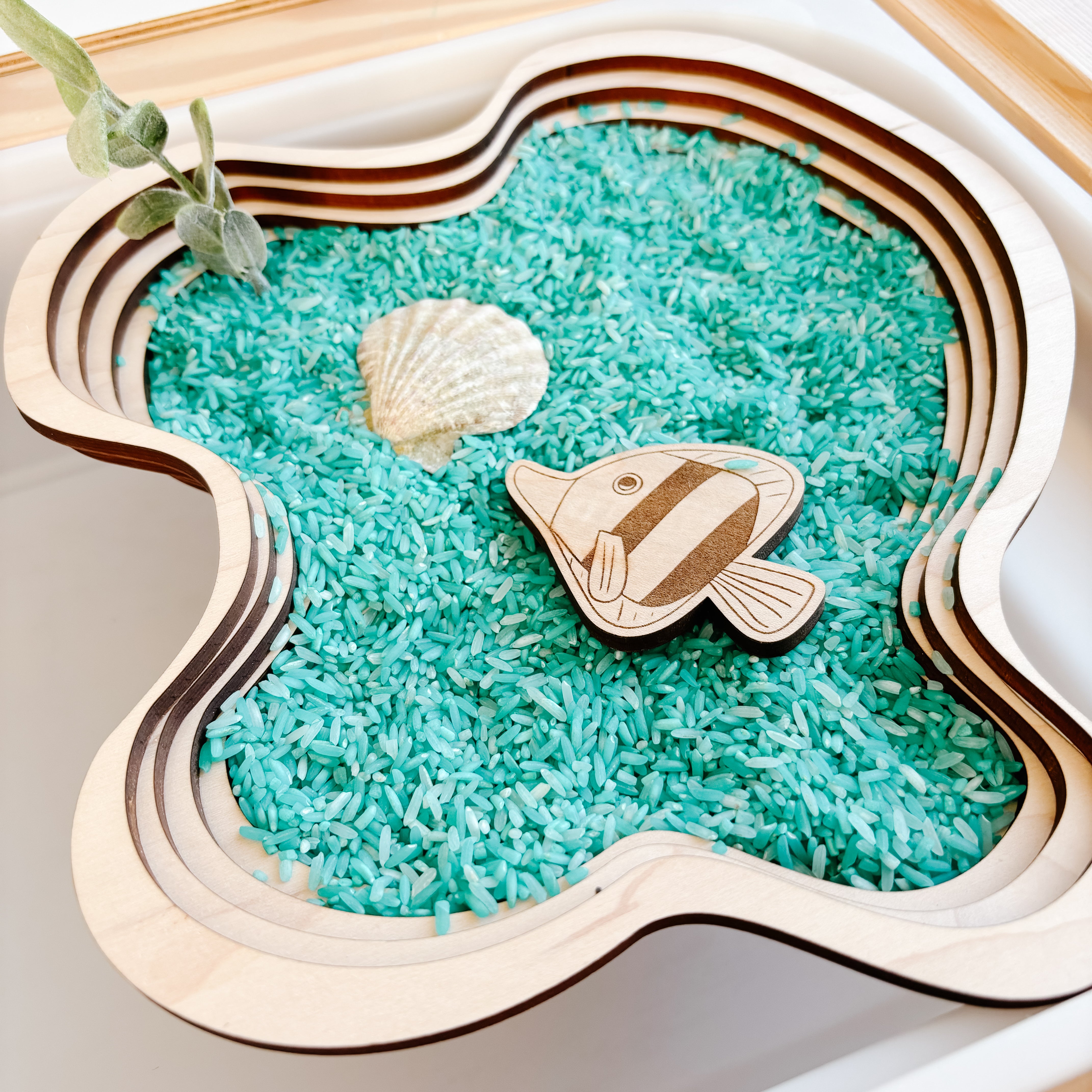 Bathymetric Pond