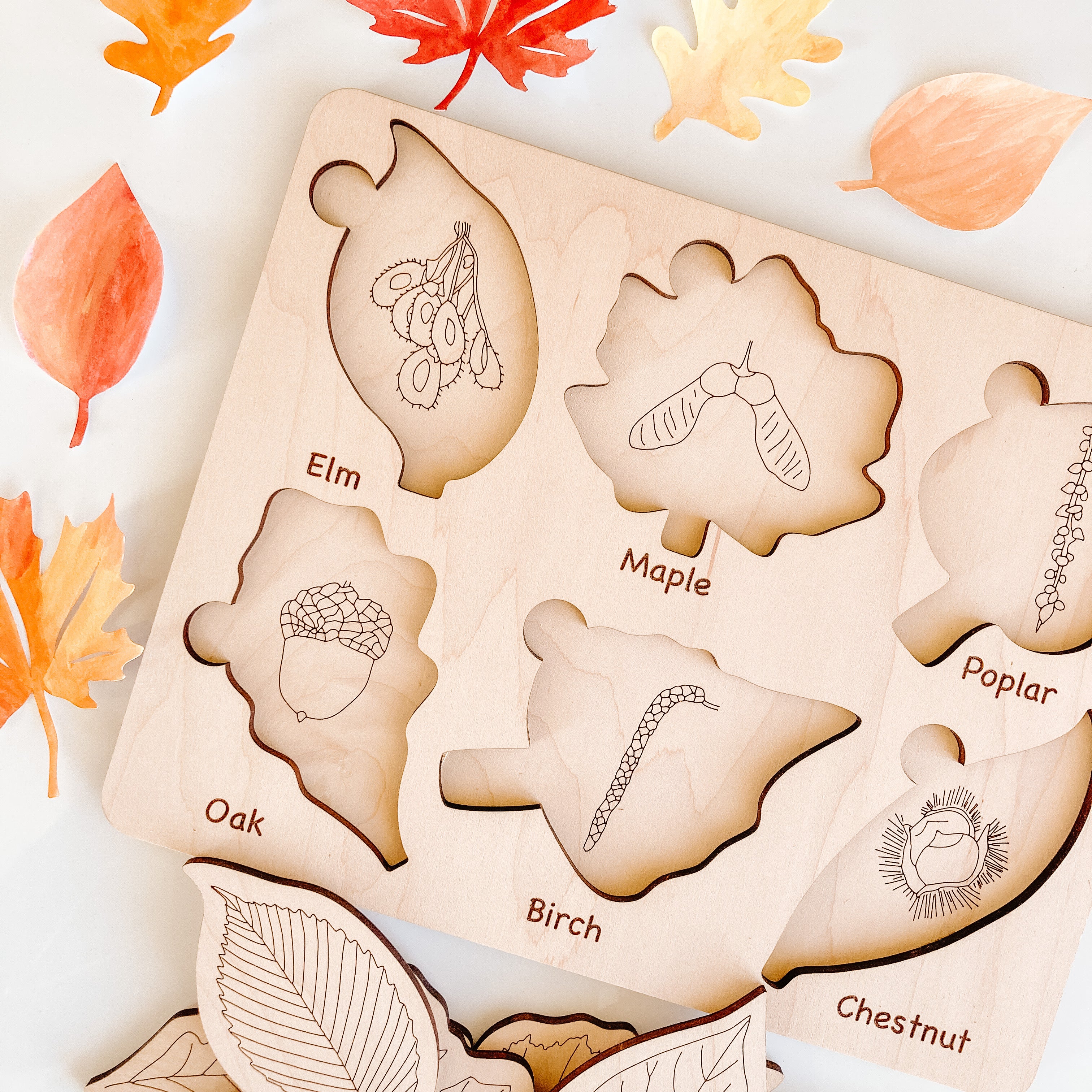 Leaf Puzzle