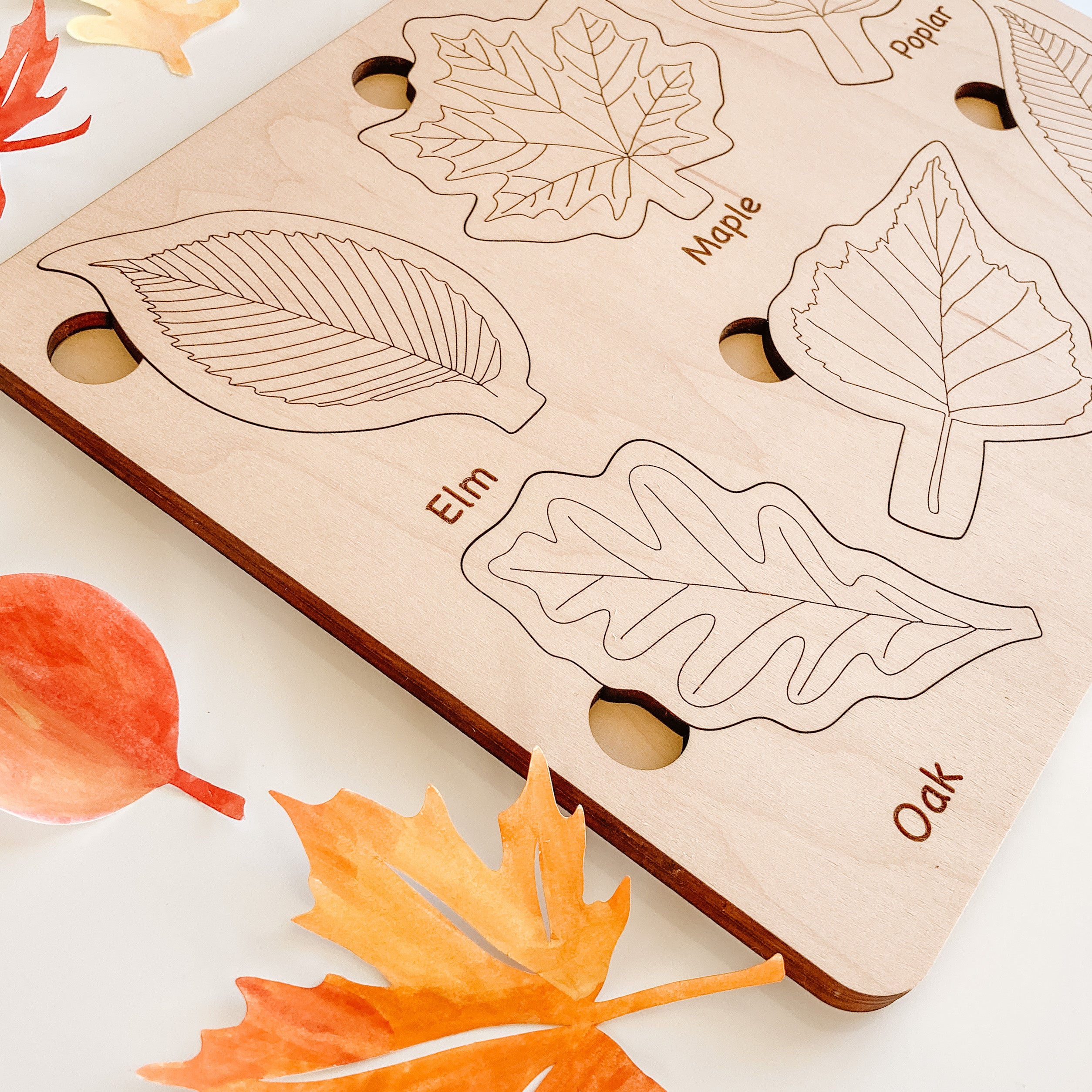 Leaf Puzzle