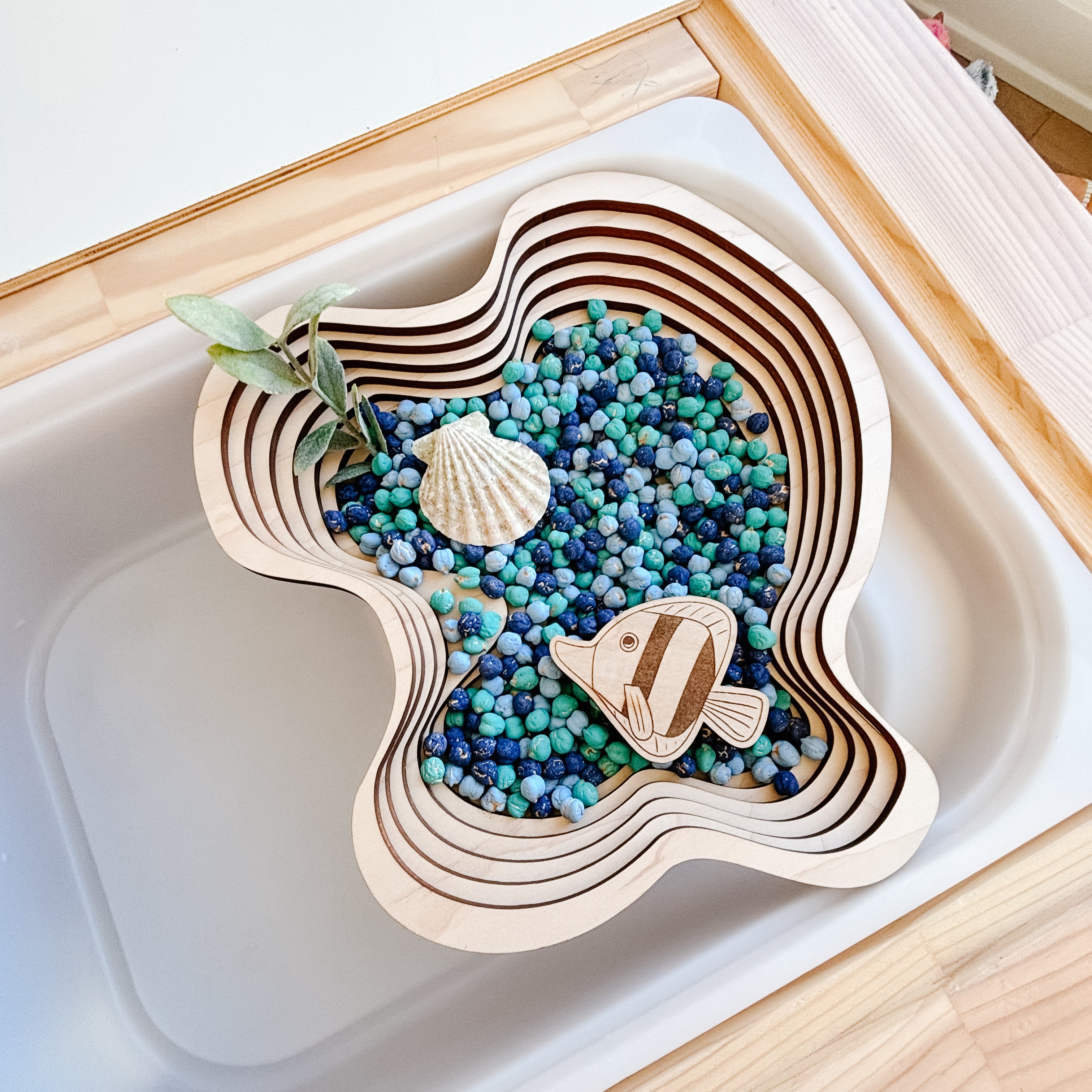 Bathymetric Pond