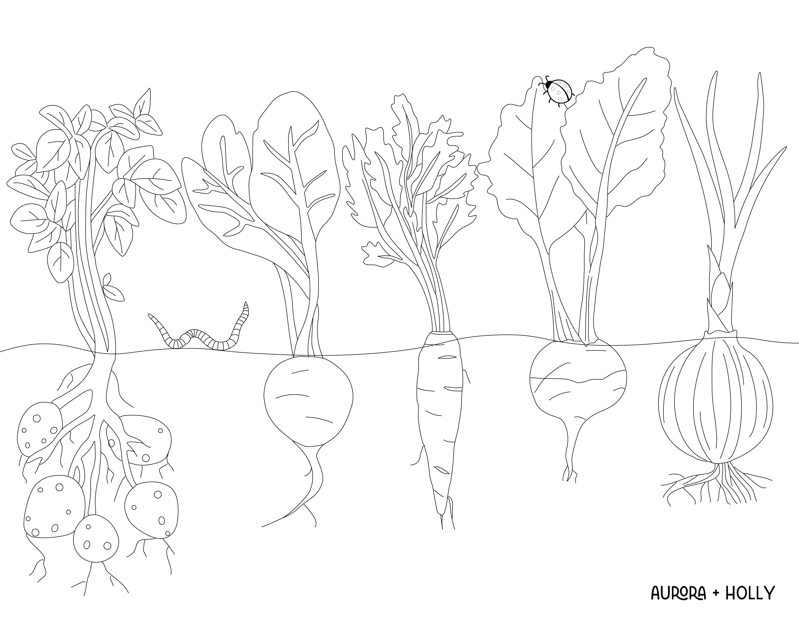 Veggie Garden