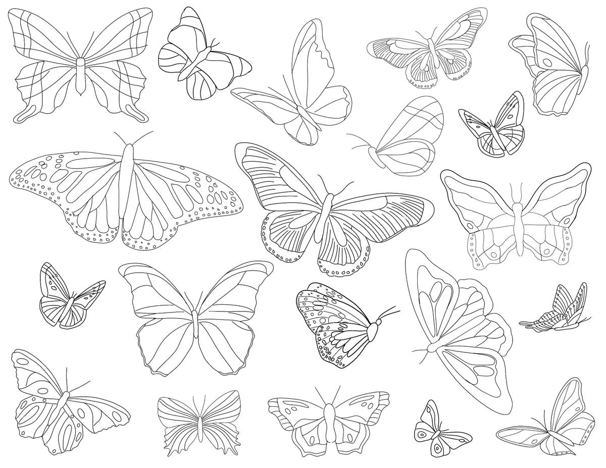 Butterflies