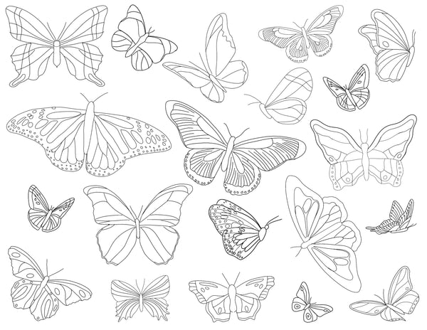 Butterfly Colouring Sheet