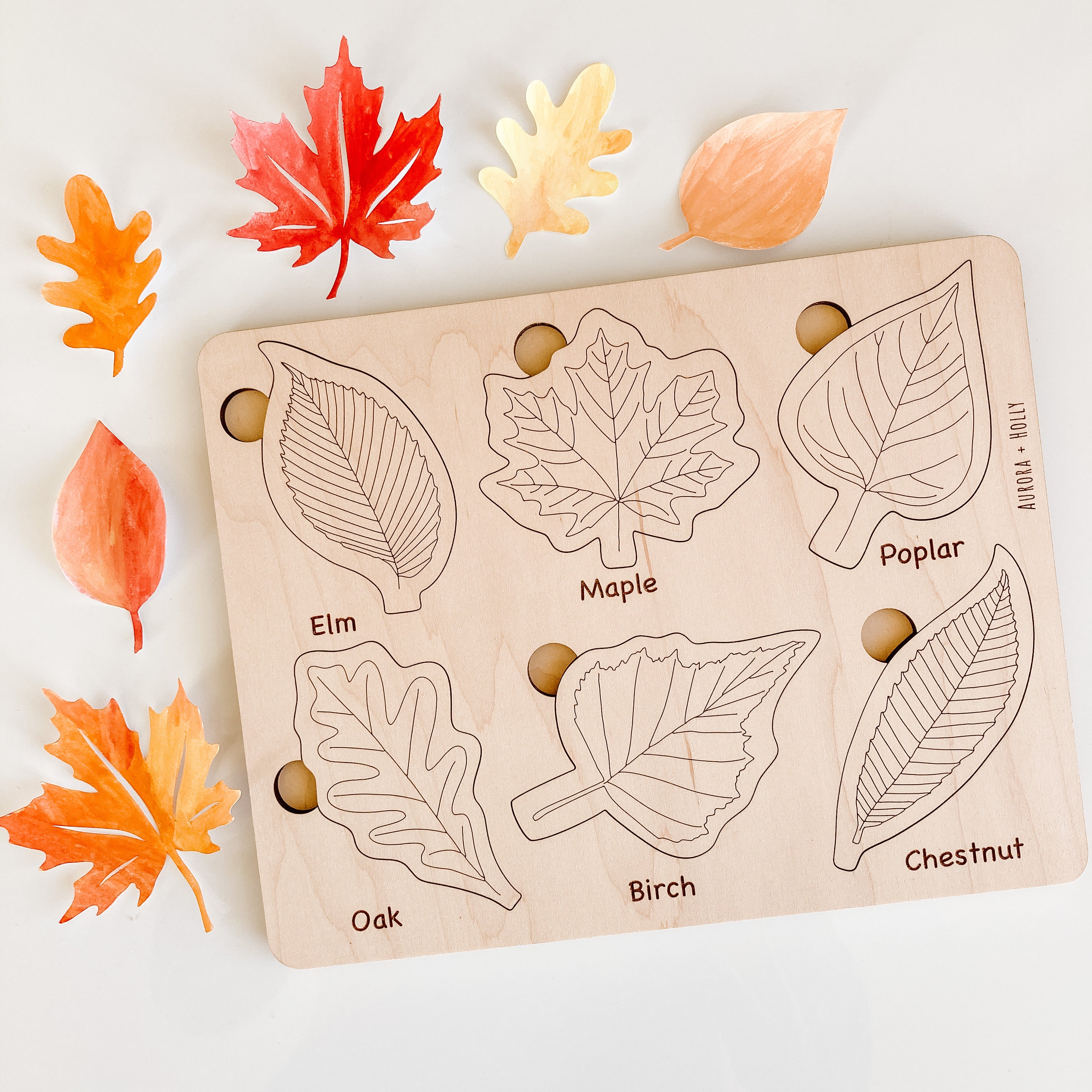Leaf Puzzle