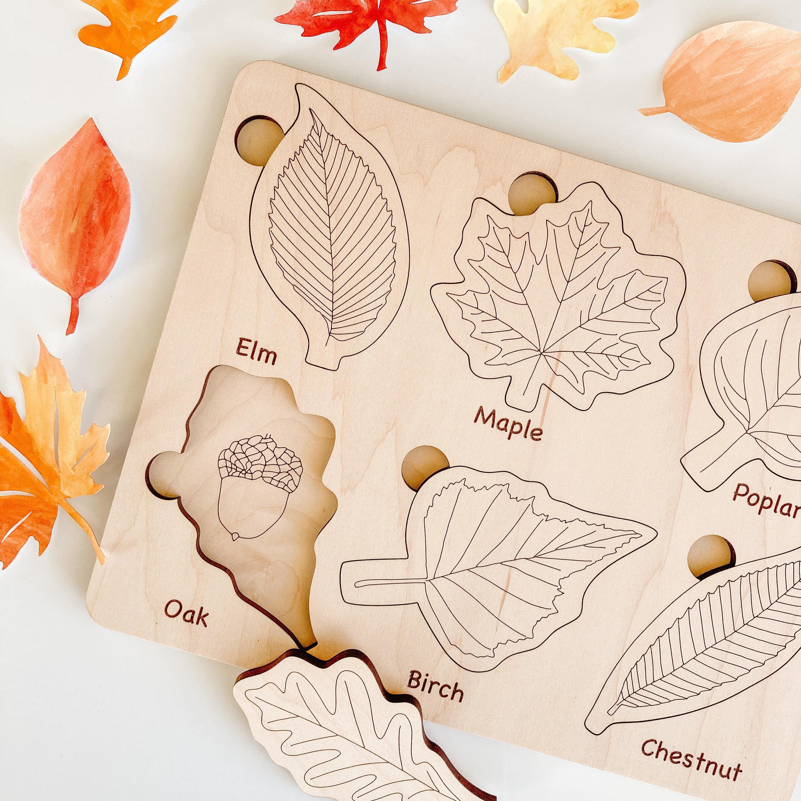 Leaf Puzzle