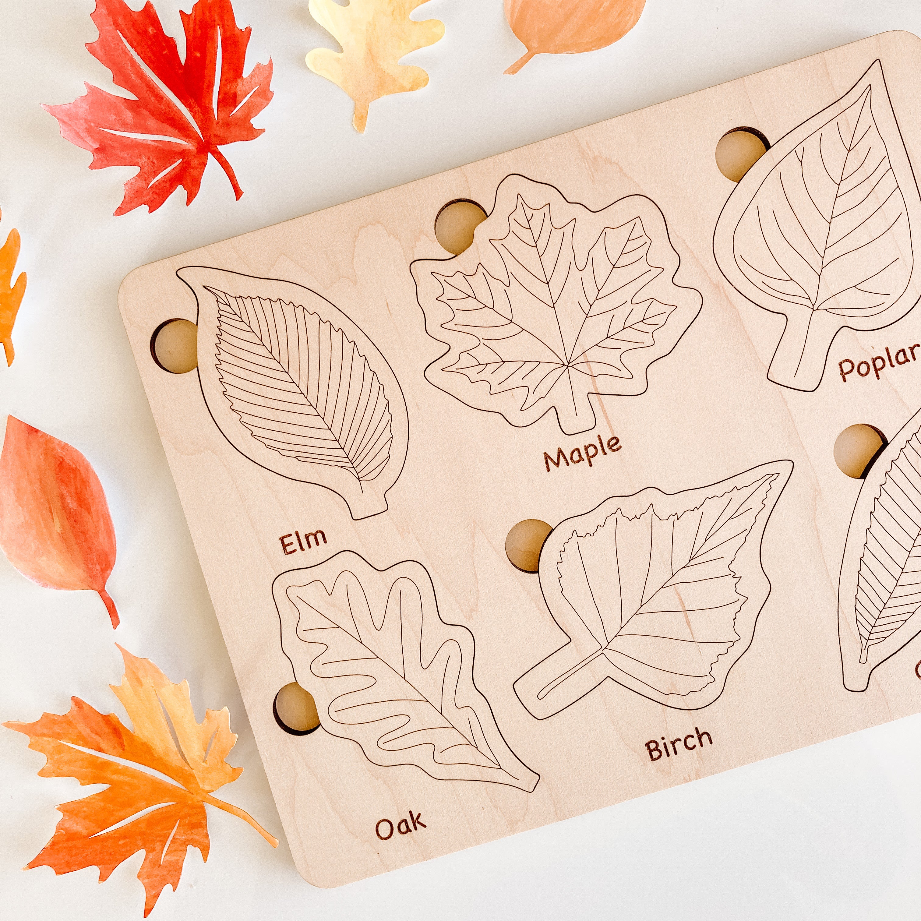 Leaf Puzzle